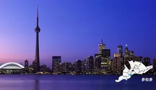 金年会h5-多伦多猛龙内部会议纪要流出——今晨官宣签约；意大利杯使命明确；团队化学反应显著的简单介绍